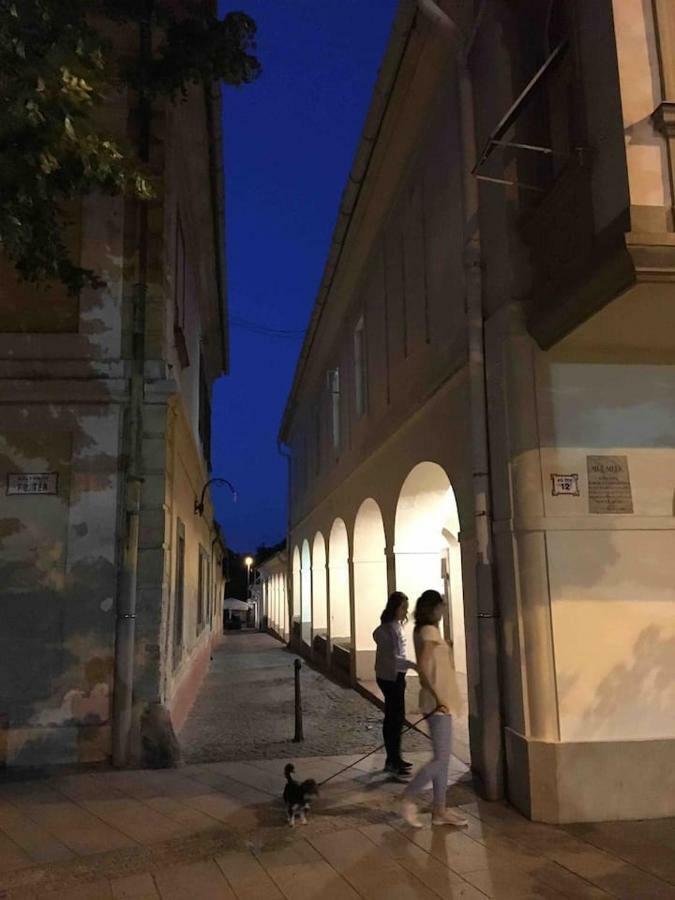 Ház saját udvarral a történelmi belvárosban Pápa Exterior foto